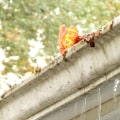 Preventing Gutter Damage: How to Keep Your Gutters in Good Shape