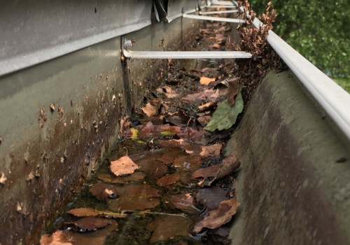 The Pros and Cons of Removing Your Gutters